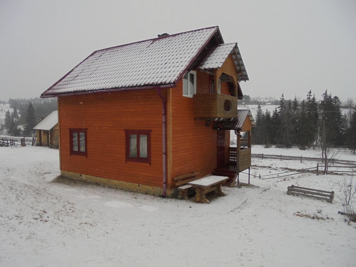 Lisovychok Vorokhta Exterior photo