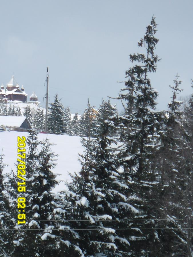 Lisovychok Vorokhta Exterior photo