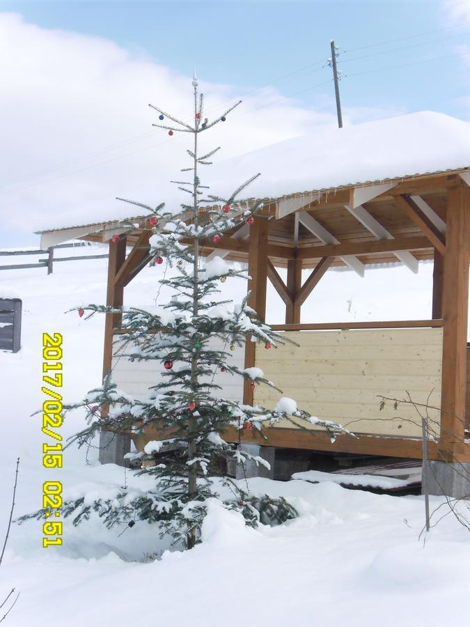 Lisovychok Vorokhta Exterior photo