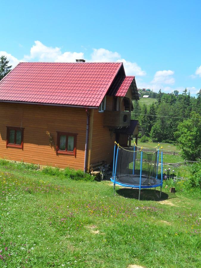 Lisovychok Vorokhta Exterior photo