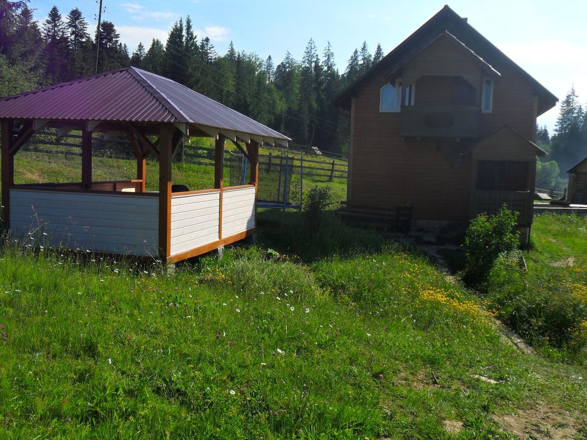 Lisovychok Vorokhta Exterior photo
