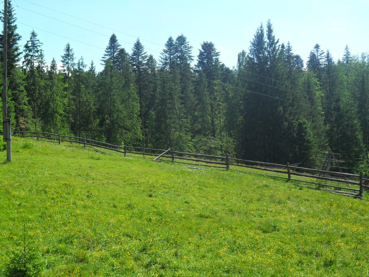 Lisovychok Vorokhta Exterior photo